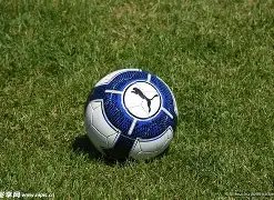 Zeka,本欲夺五杀,珉炯急切主,皇冠体育平台,皇冠体育官方网站,皇冠体育登录入口,皇冠体育app下载